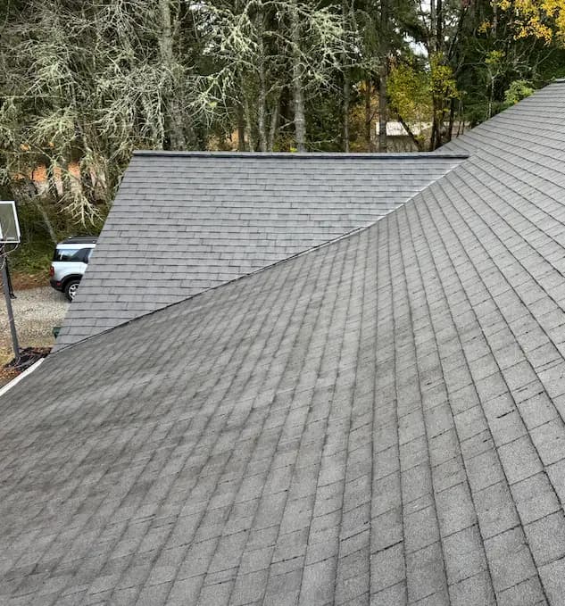 Clean gray asphalt shingle roof with no moss, lichen-covered trees and a parked SUV in the background.