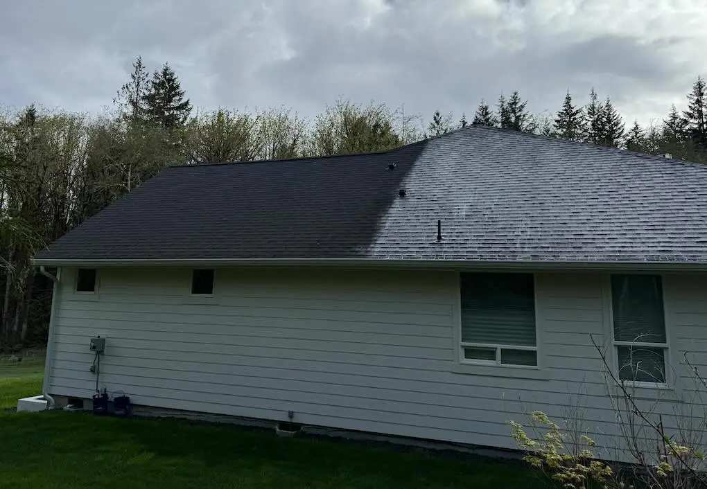 Single-story home's asphalt shingle roof mid soft wash: left half clean and dark, right half still streaked and dirty.