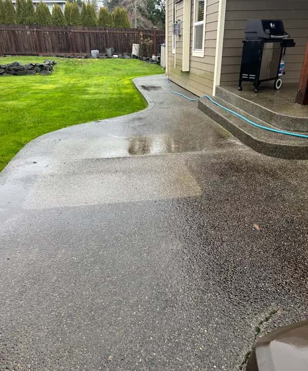 Wet exposed-aggregate backyard walkway mid-pressure-wash, a lighter cleaned strip beside darker dirty concrete.