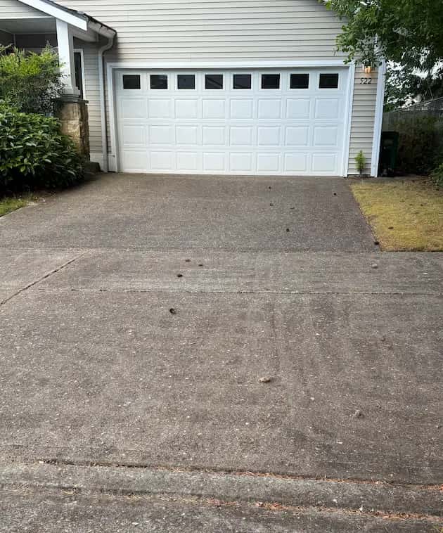 Dull, dirty concrete driveway scattered with pine cones and debris in front of a white garage door.