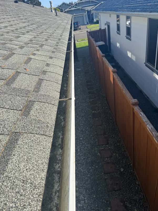 Looking down a white gutter holding shingle grit and grime, alongside a gravel side yard and cedar fence.