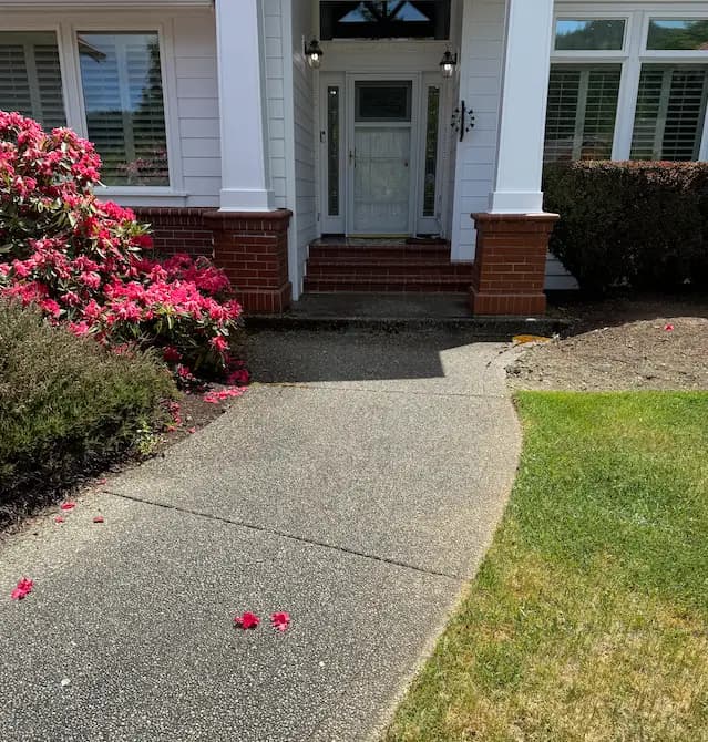 Dirty exposed-aggregate front walkway leading to brick steps, with pink azalea petals scattered on it.