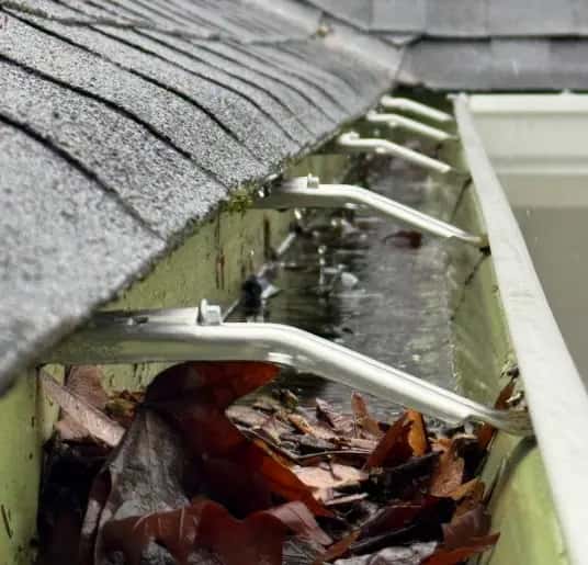 Gutter under asphalt shingles clogged with brown leaves and holding standing water, before gutter cleaning.