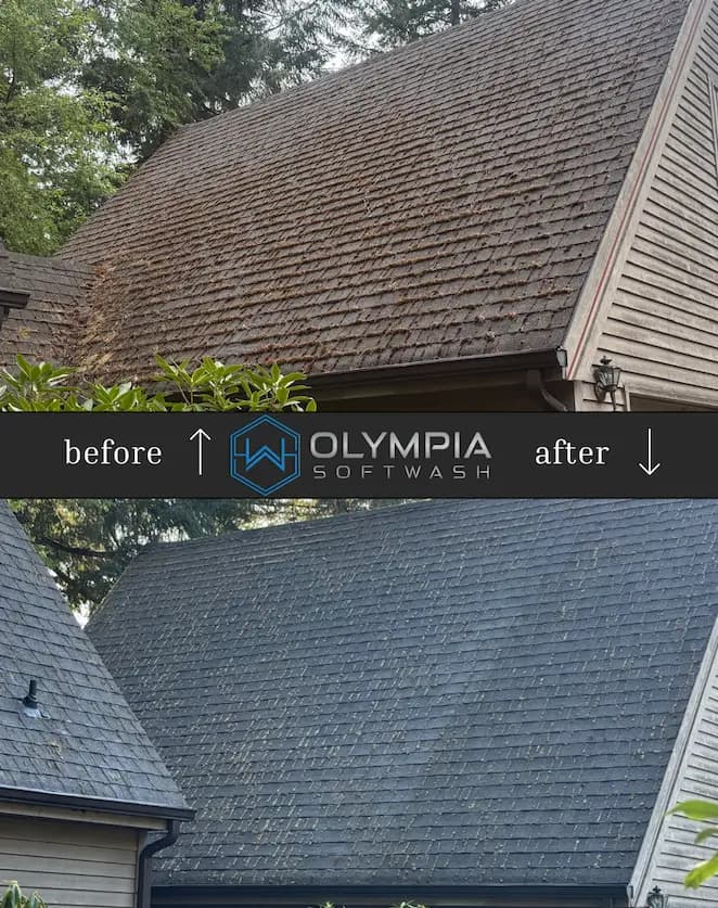 Before and after: shingle roof covered in brown moss, then clean dark shingles, with Olympia Softwash logo banner between.