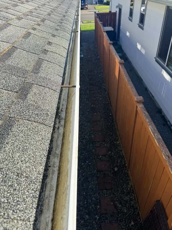 Emptied white rain gutter along an asphalt shingle roof edge above a gravel side yard and wood fence after cleaning.
