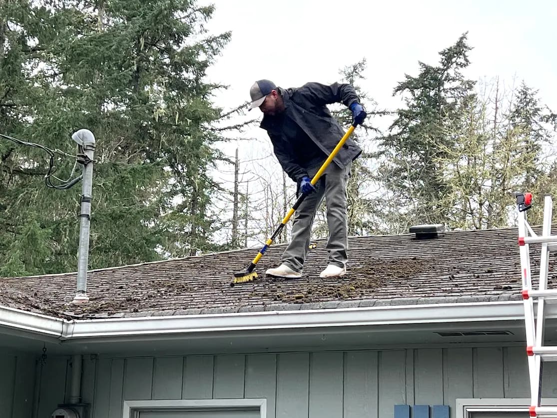 Technician using a long-handled brush to scrape thick moss off an asphalt shingle roof, ladder at the edge.