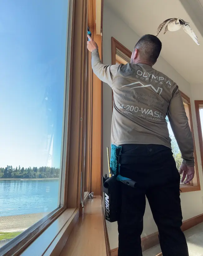Olympia Softwash technician hand-cleaning a tall interior window frame overlooking the water and evergreen shoreline.